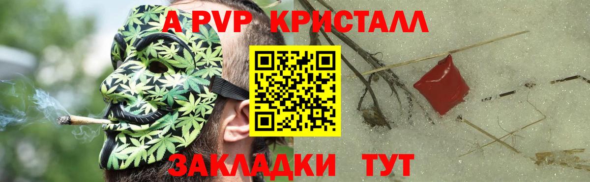 A PVP СК КРИС Бор