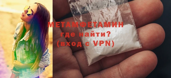 шишки Белокуриха