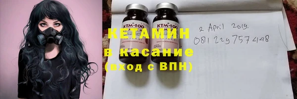 шишки Белокуриха