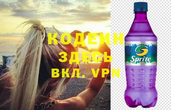 шишки Белокуриха
