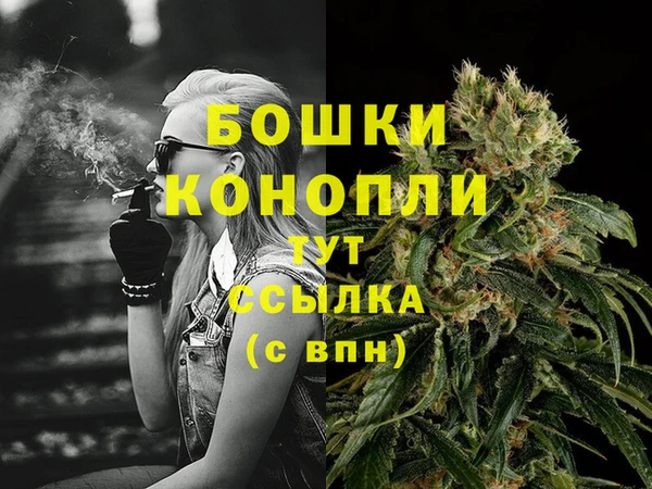 шишки Белокуриха