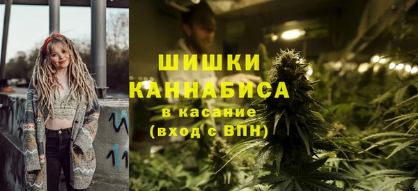 шишки Белокуриха