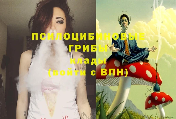 шишки Белокуриха