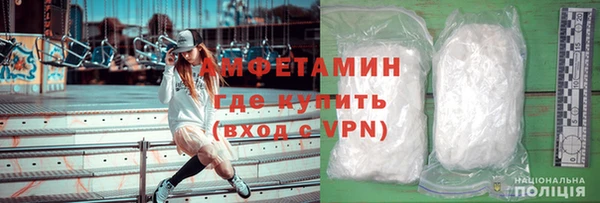 шишки Белокуриха