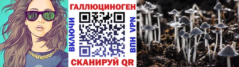 Псилоцибиновые грибы MAGIC MUSHROOMS  Купить где  Бор 