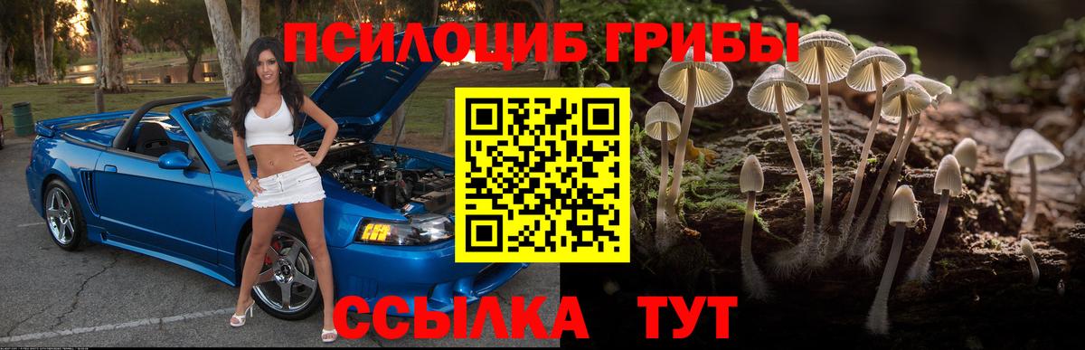 Псилоцибиновые грибы Magic Shrooms Бор