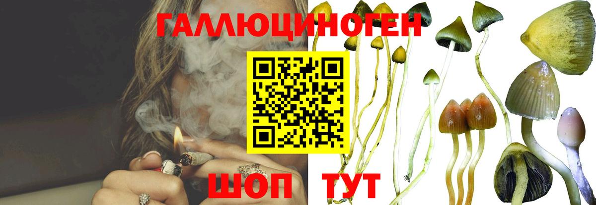 Псилоцибиновые грибы GOLDEN TEACHER  Галлюциногенные грибы ЛСД  Бор 